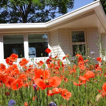 Het Findament Tiny House Hilversum Exterior foto